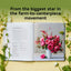 Floret Farm?s A Year in Flowers: Designing Gorgeous Arrangements for Every Season (Floret Farms x Chronicle Books)