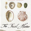 The Fossil Hunter: Dinosaurs, Evolution, and the Woman Whose Discoveries Changed the World (MacSci)