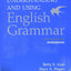 Workbook, Understanding and Using English Grammar, 5th Edition