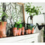 31 Cozy Home Ideas (Cozy White Cottage)