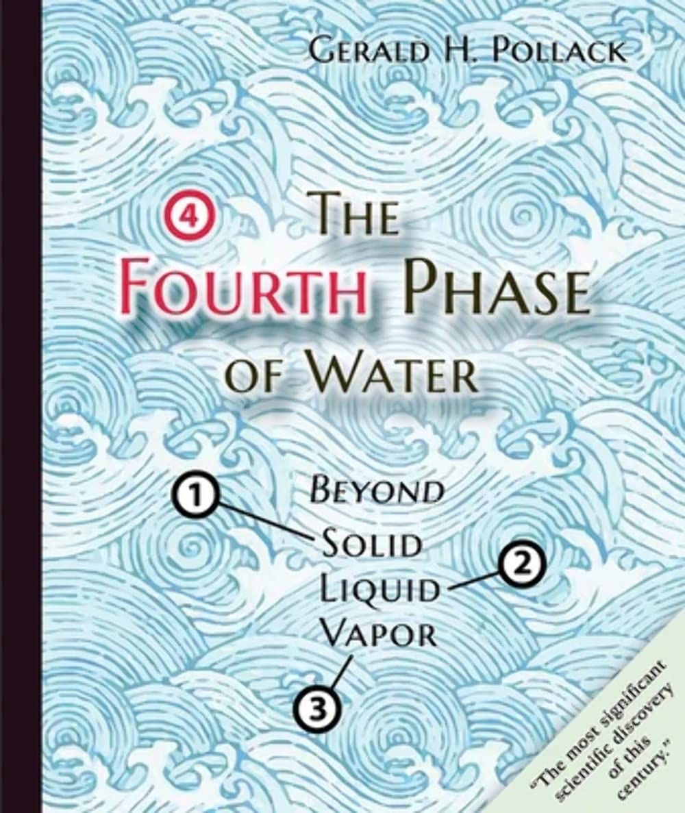 The Fourth Phase of Water: Beyond Solid, Liquid, and Vapor