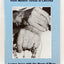 Rosary Meditations From Mother Teresa of Calcutta: Loving Jesus With the Heart of Mary: Eucharistic Meditations on the Fifteen Mysteries of the Rosary