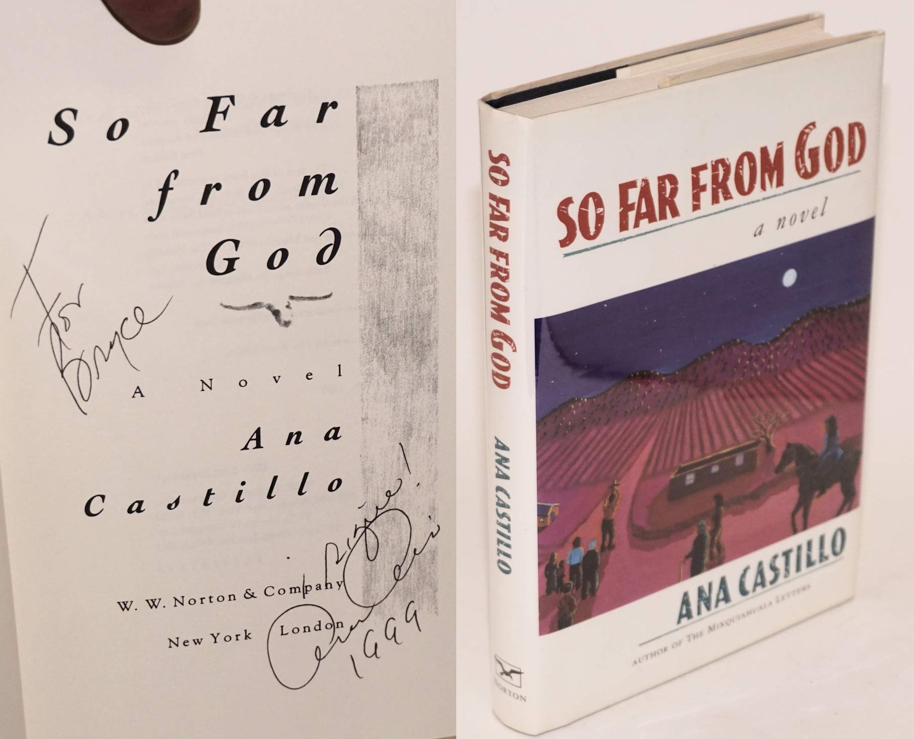So Far from God: A Novel