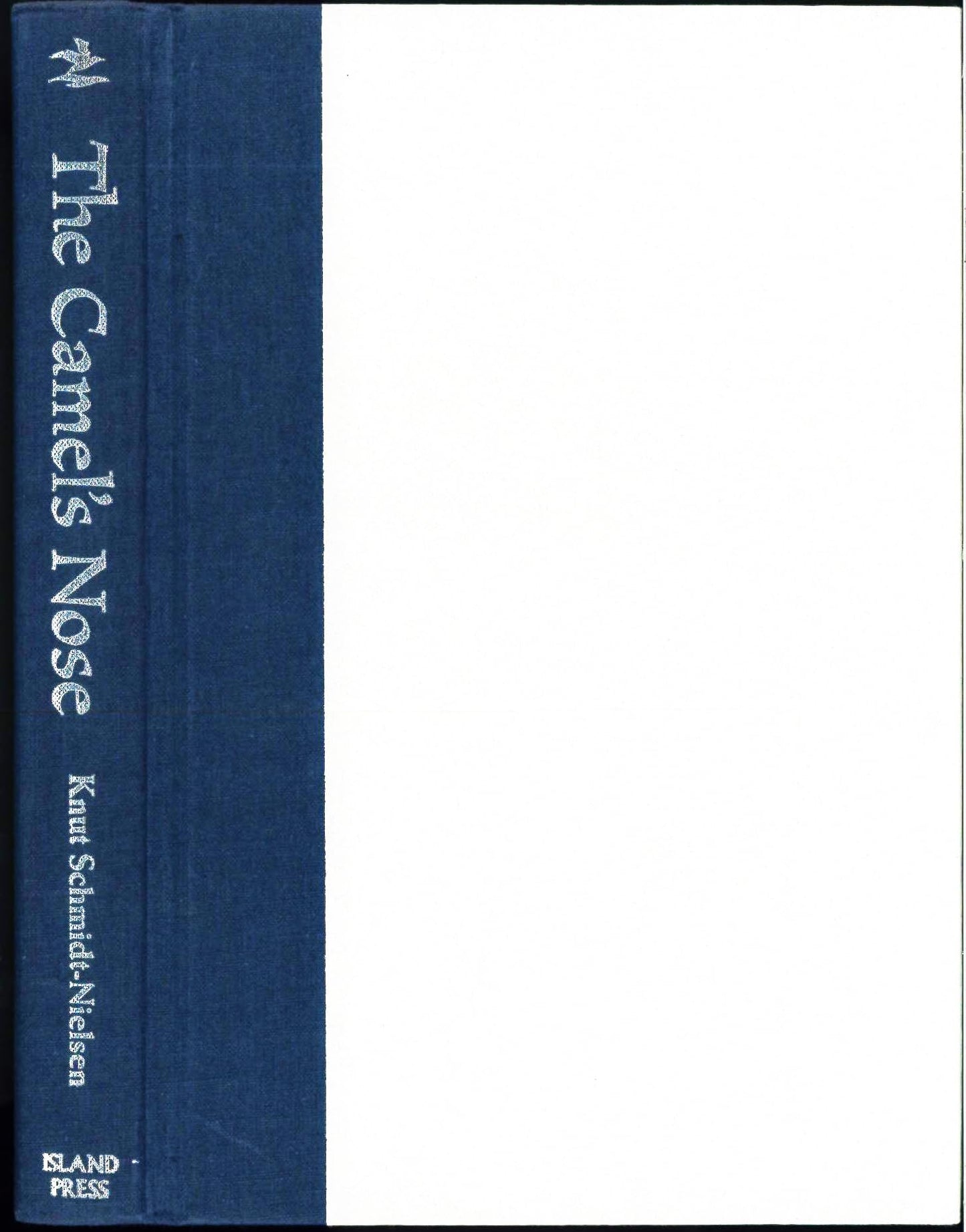 The Camel's Nose: Memoirs Of A Curious Scientist