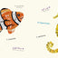 Ocean Animals (Multilingual Board Book) (Words of the World Series)