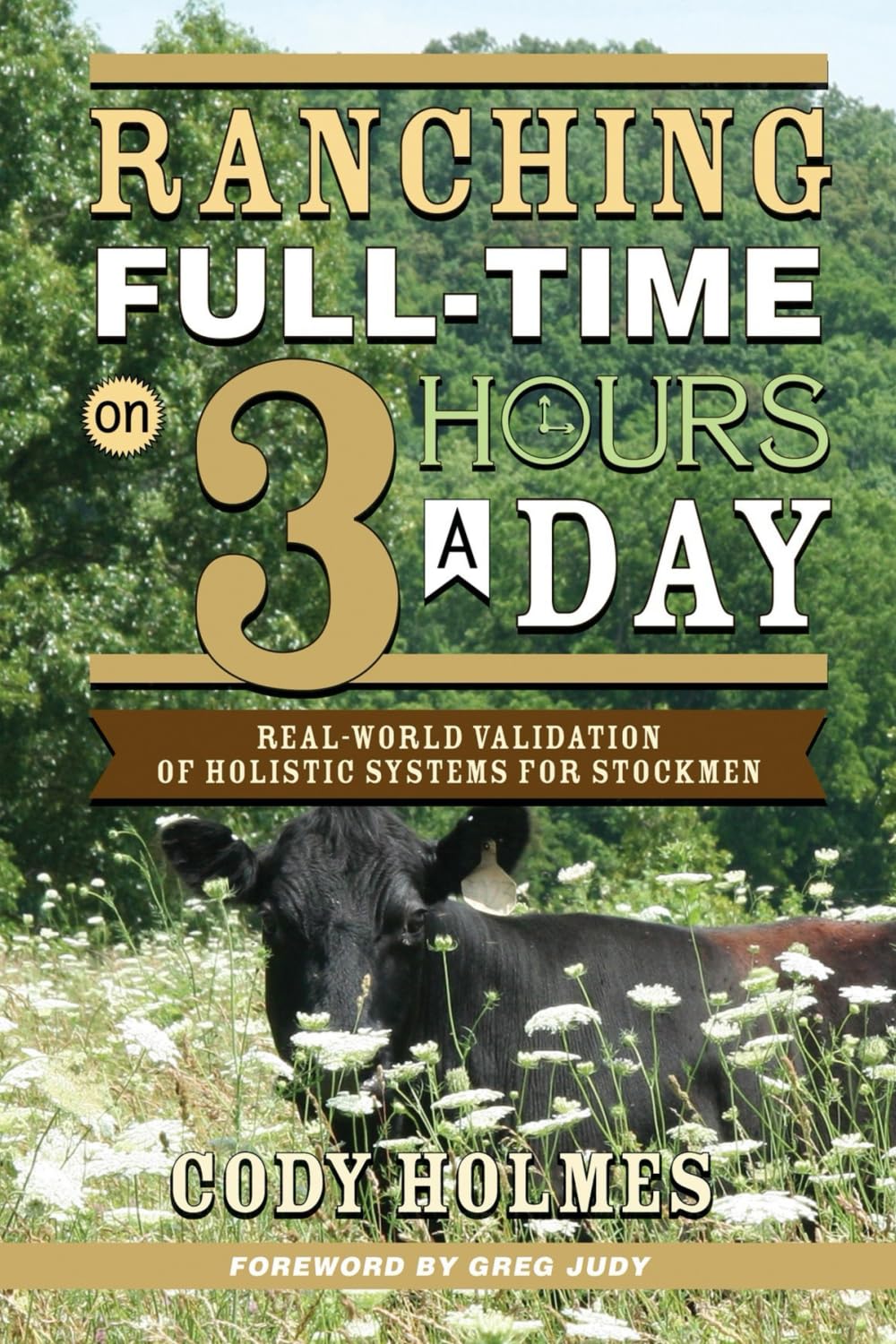 Ranching Full-Time on 3 Hours a Day: Real-World Validation of Holistic Systems for Stockmen