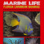 Snorkeling Guide to Marine Life Florida, Caribbean, Bahamas