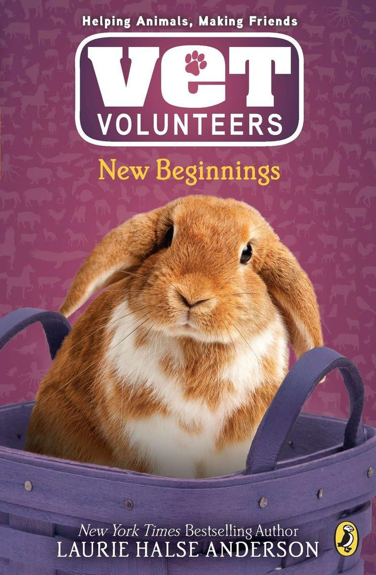 New Beginnings (Vet Volunteers)