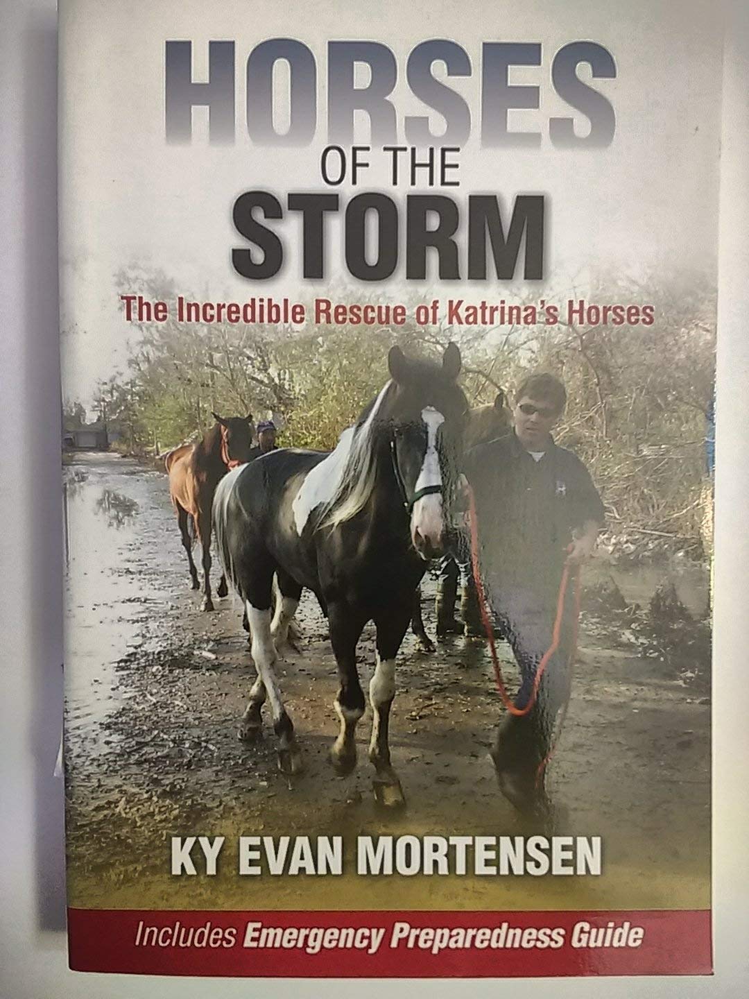 Horses of the Storm: The Incredible Rescue of Katrina's Horses