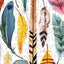 Galison Feathers 500 Piece Jigsaw Puzzle for Adults and Families, Bird Feather Foil Puzzle with 500 Pieces and Bird Feathers from Around The World