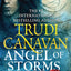 Angel of Storms (Millennium's Rule, 2)