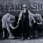 When Elephants Come to Town: A Visual Anthology