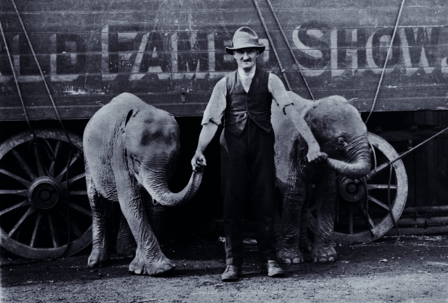 When Elephants Come to Town: A Visual Anthology