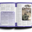 GURPS Basic Set: Characters, Fourth Edition