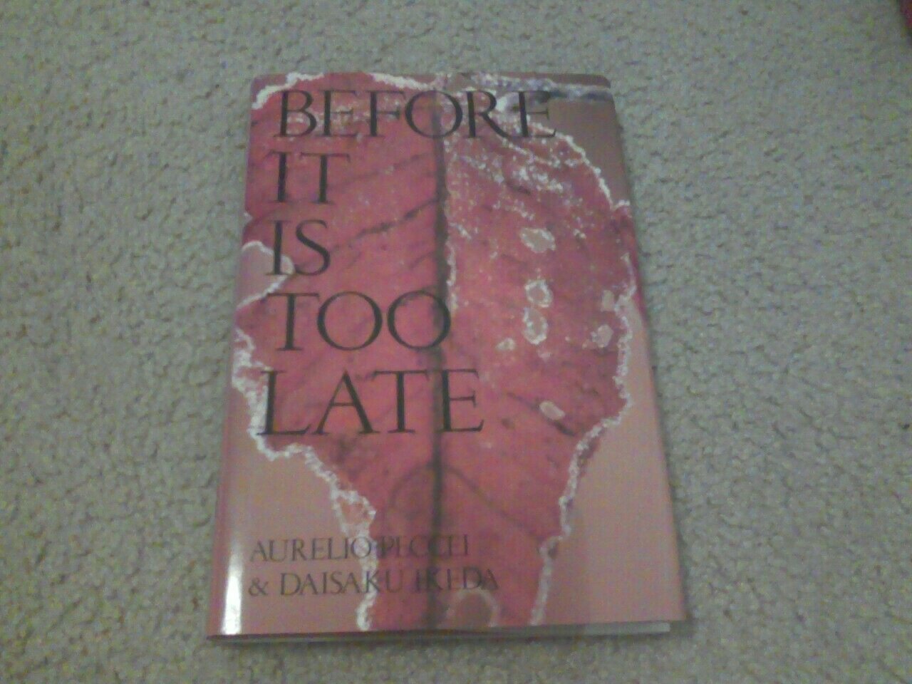 Before It Is Too Late by Peccei, Aurelio