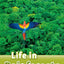Oxford Read and Discover: Level 3: Life in Rainforests