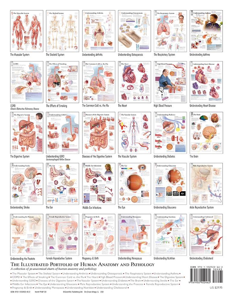 The Illustrated Portfolio of Human Anatomy and Pathology