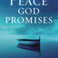 Finding the Peace God Promises: Spiritual Practices to Lead You into Sabbath Rest