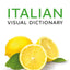 Collins Italian Visual Dictionary (Collins Visual Dictionaries)