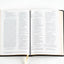 Holy Bible, NRSVue with Apocrypha, Personal Edition