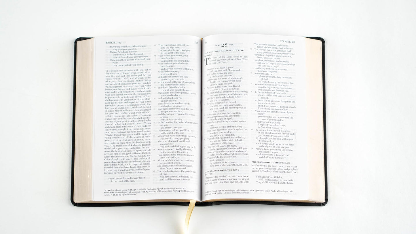 Holy Bible, NRSVue with Apocrypha, Personal Edition