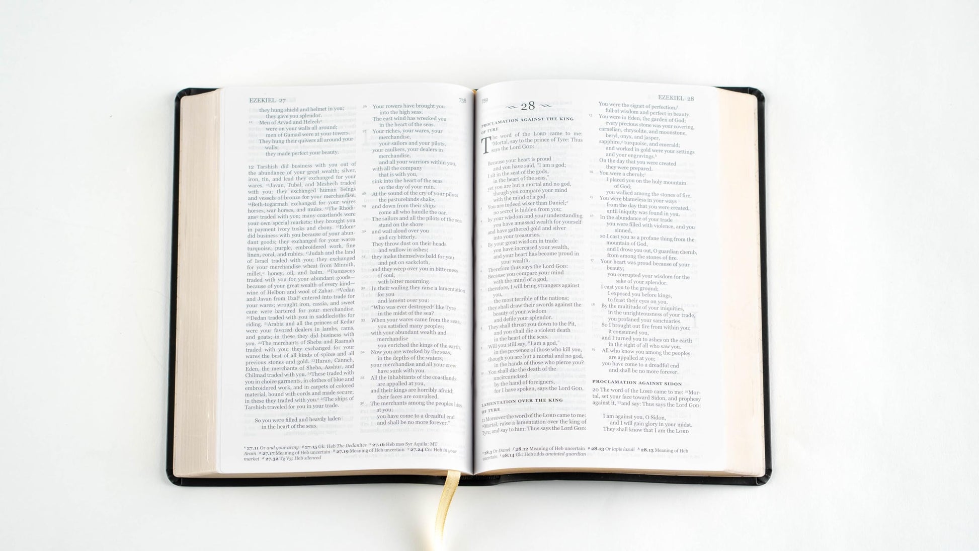 Holy Bible, NRSVue with Apocrypha, Personal Edition