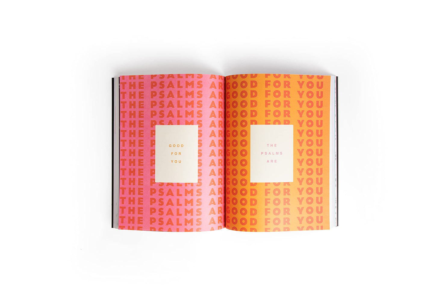 The Bible Study: A One Year Study of the Bible and How It Relates to You