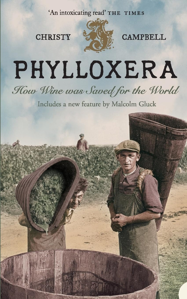 Phylloxera: How Wine was Saved for the World