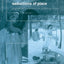 Seductions of Place: Geographical Perspectives on Globalization and Touristed Landscapes (Critical Geographies)
