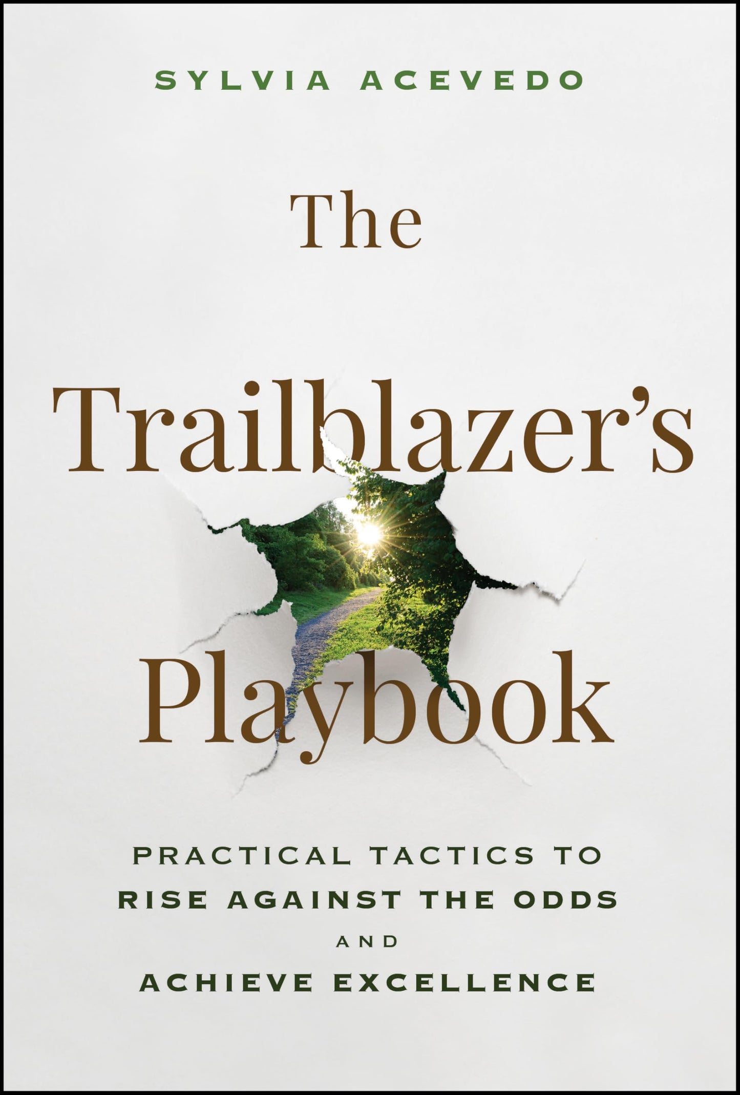 The Trailblazer's Playbook: Practical Tactics to Rise Against the Odds and Achieve Excellence
