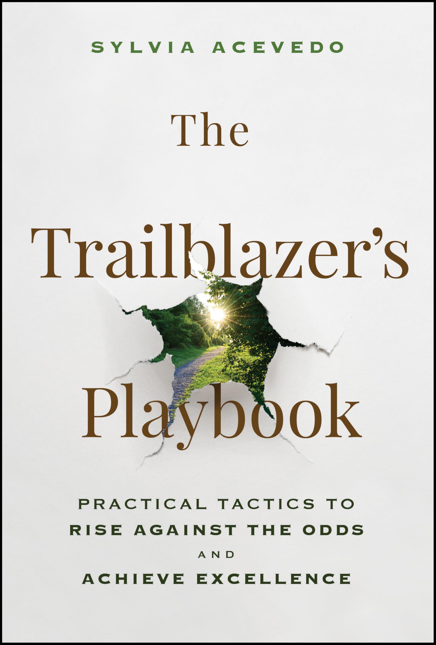 The Trailblazer's Playbook: Practical Tactics to Rise Against the Odds and Achieve Excellence