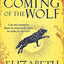 Elizabeth Chadwick Wild Hunt Series 4 Books Collection Set (The Wild Hunt, The Coming of the Wolf, The Running Vixen, The Leopard Unleashed)