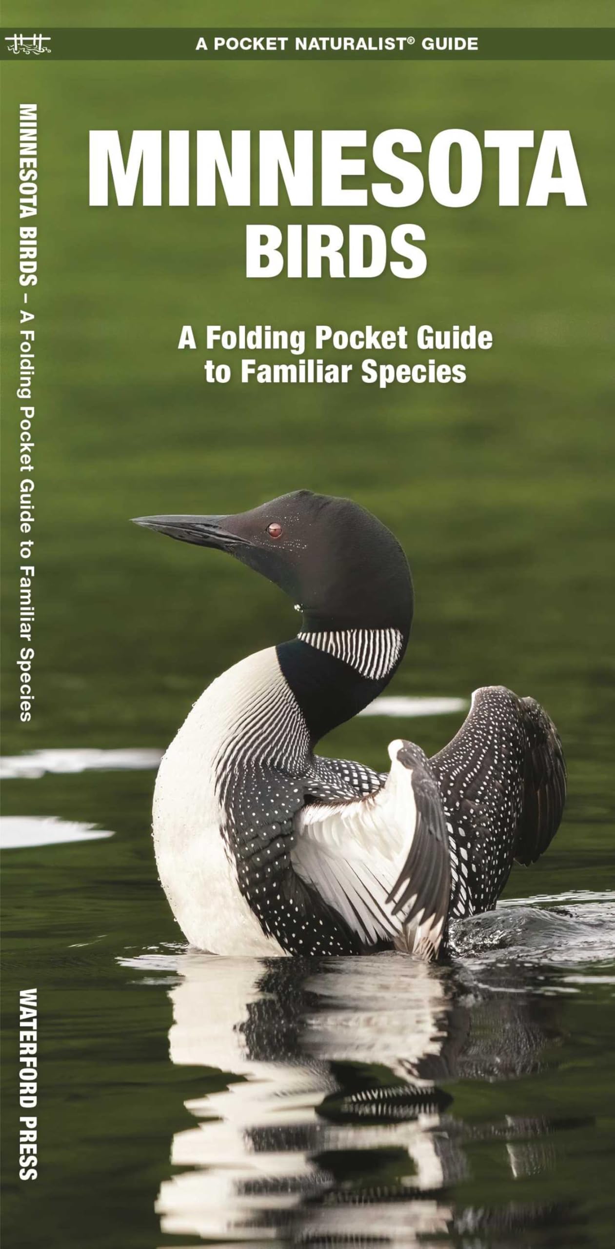 Minnesota Birds: A Folding Pocket Guide to Familiar Species (Nature Observation North America)