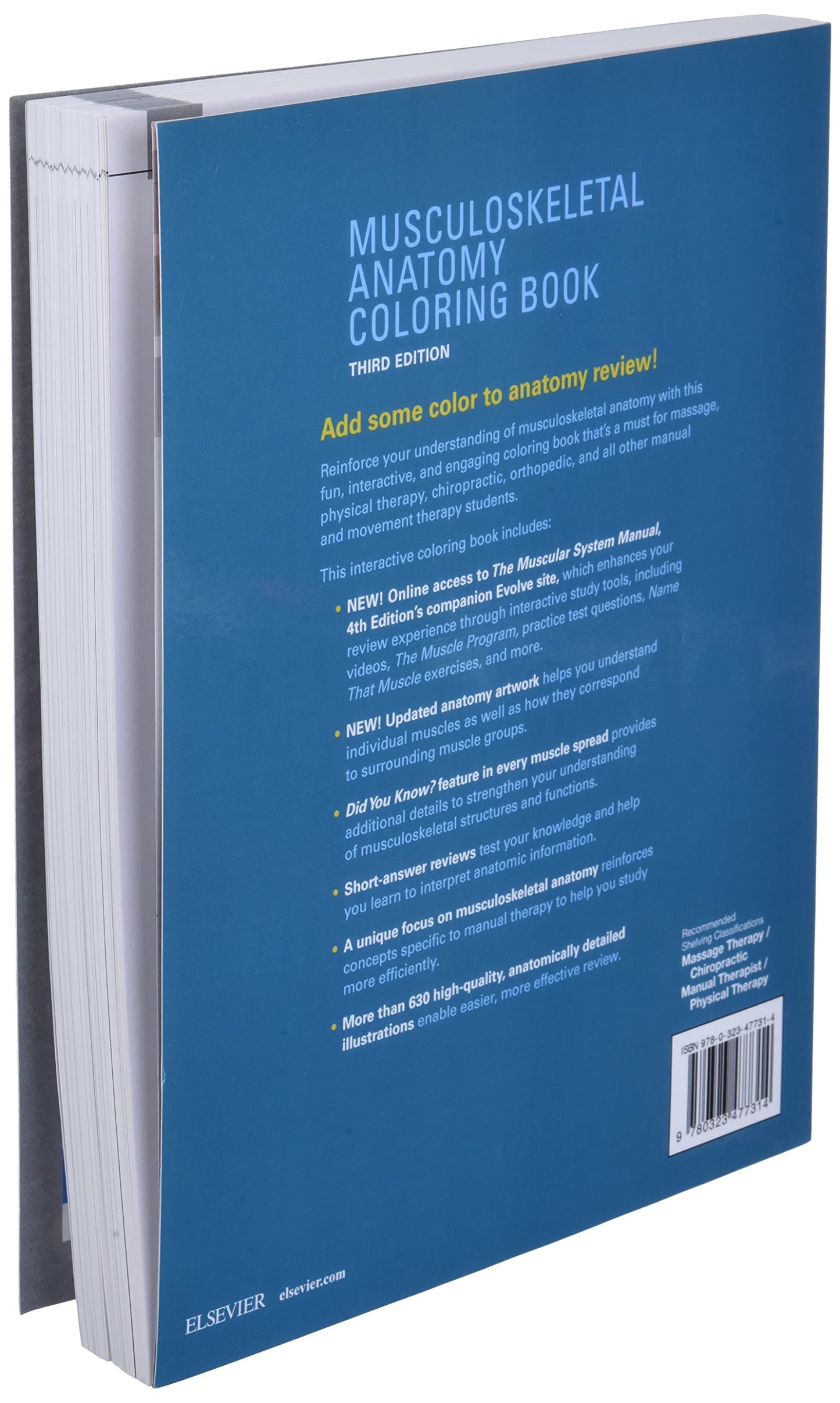 Musculoskeletal Anatomy Coloring Book by Muscolino DC, Josep