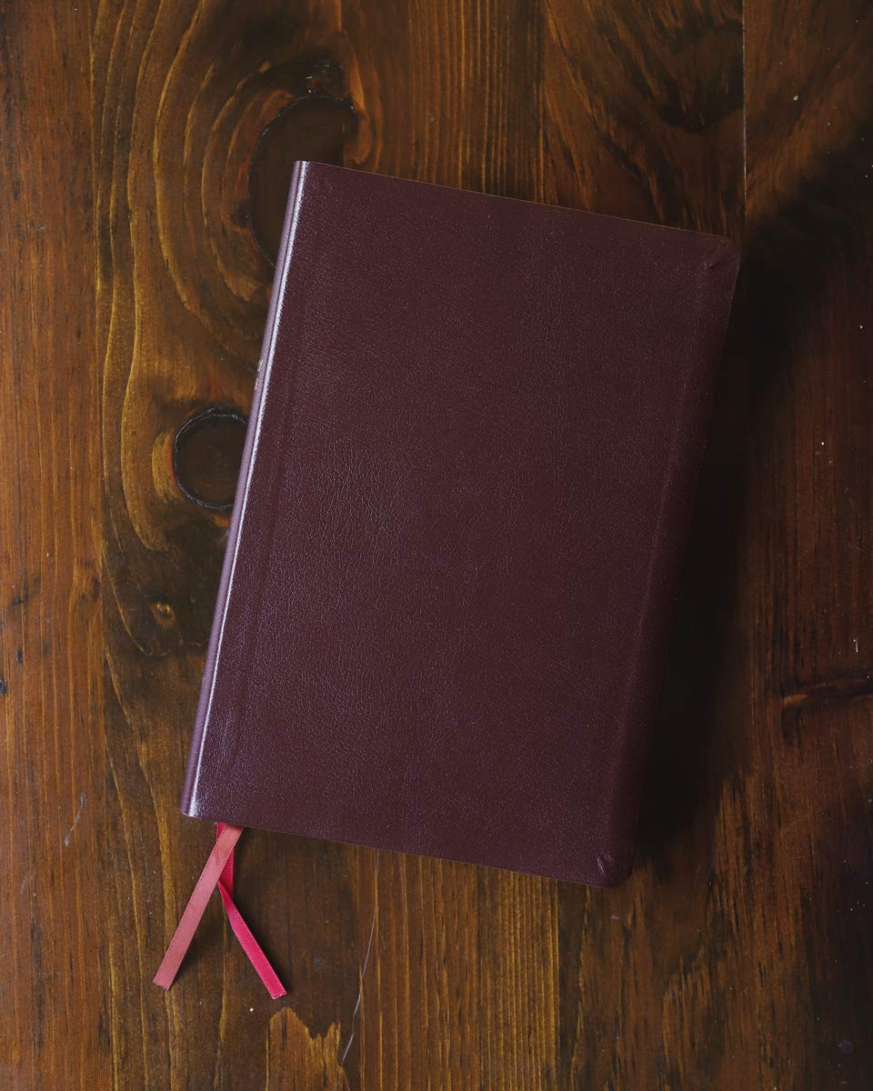 NIV, Thinline Reference Bible (Deep Study at a Portable Size), Large Print, Bonded Leather, Burgundy, Red Letter, Comfort Print