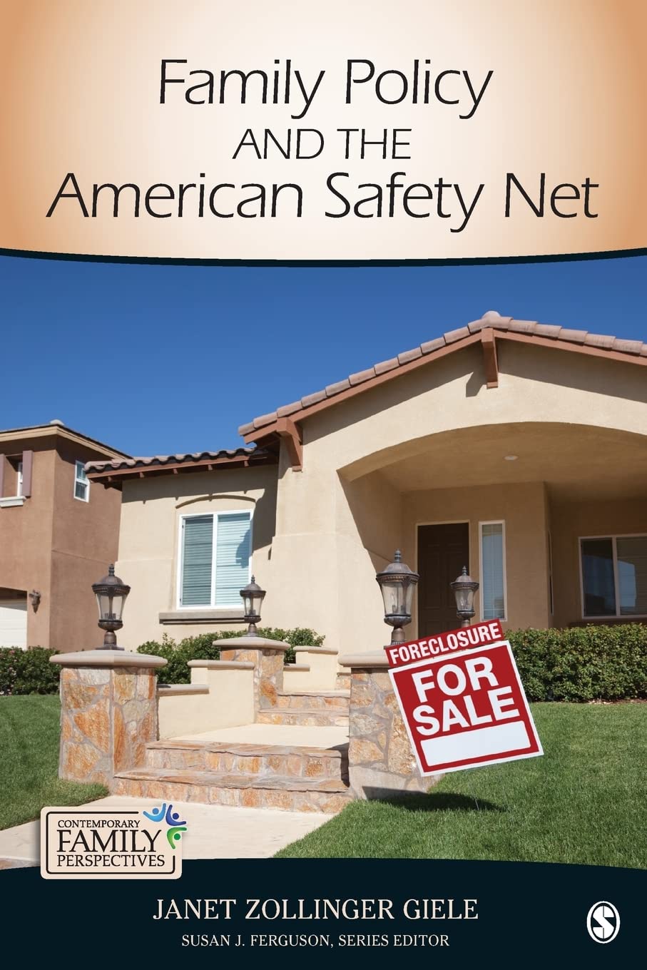 Family Policy and the American Safety Net (Contemporary Family Perspectives (CFP))