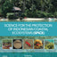 Science for the Protection of Indonesian Coastal Ecosystems (SPICE)
