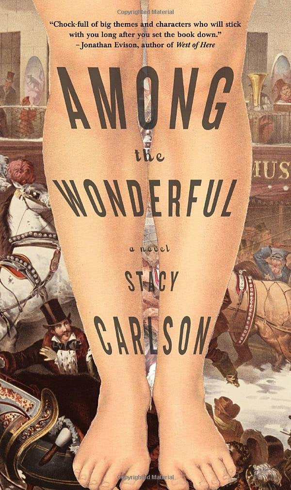 Among the Wonderful: A Novel