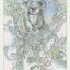 Spiritsong Tarot: 78-Card Tarot Deck with Animal Spirit Guides, Shamanic Symbolism, Hand-Drawn Visionary Artwork, Divine Guidance, 108-Page Guidebook