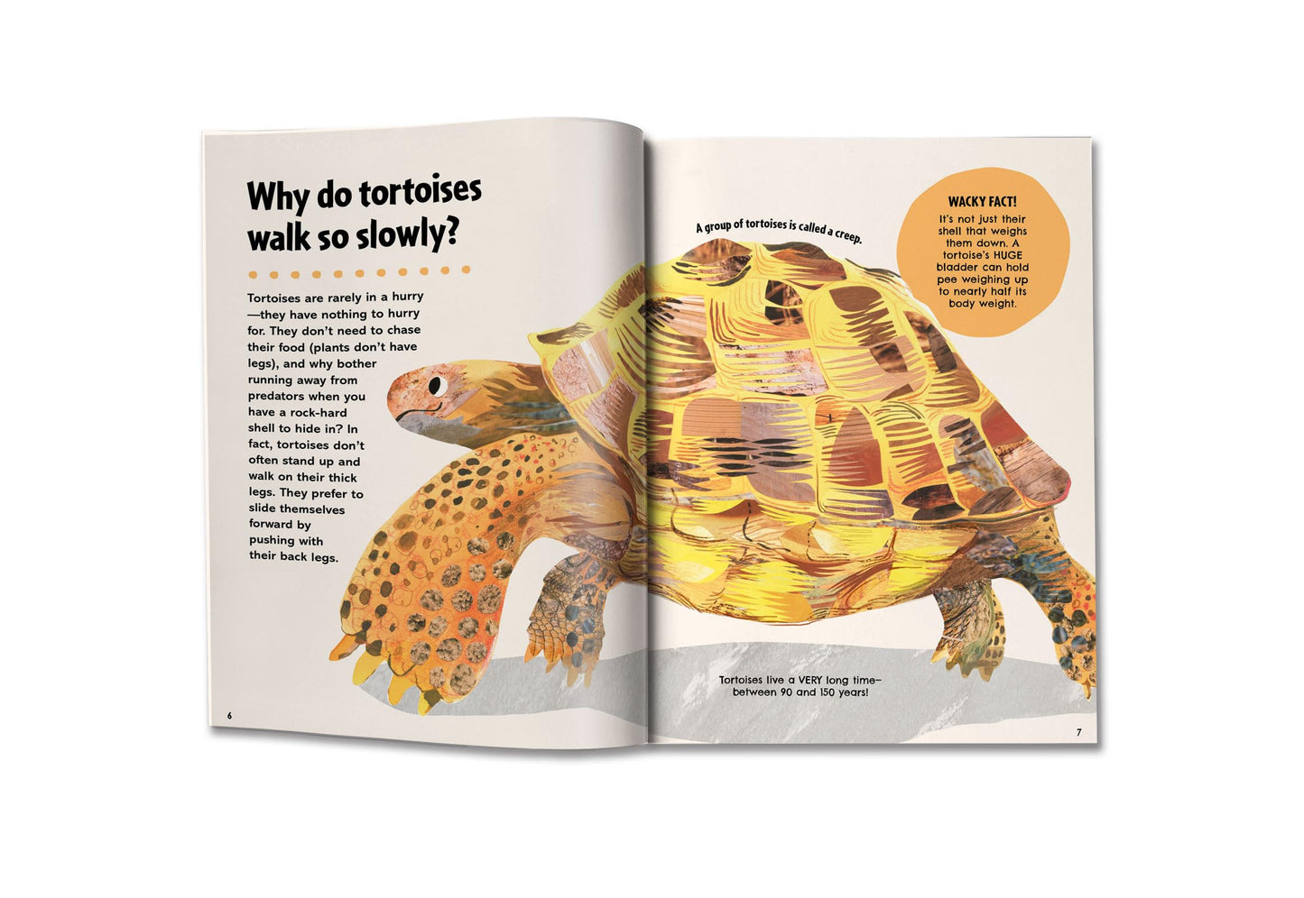 Britannica's First Big Book of Why: Why can't penguins fly? Why do we brush our teeth? Why does popcorn pop? The ultimate book of answers for kids who need to know WHY!