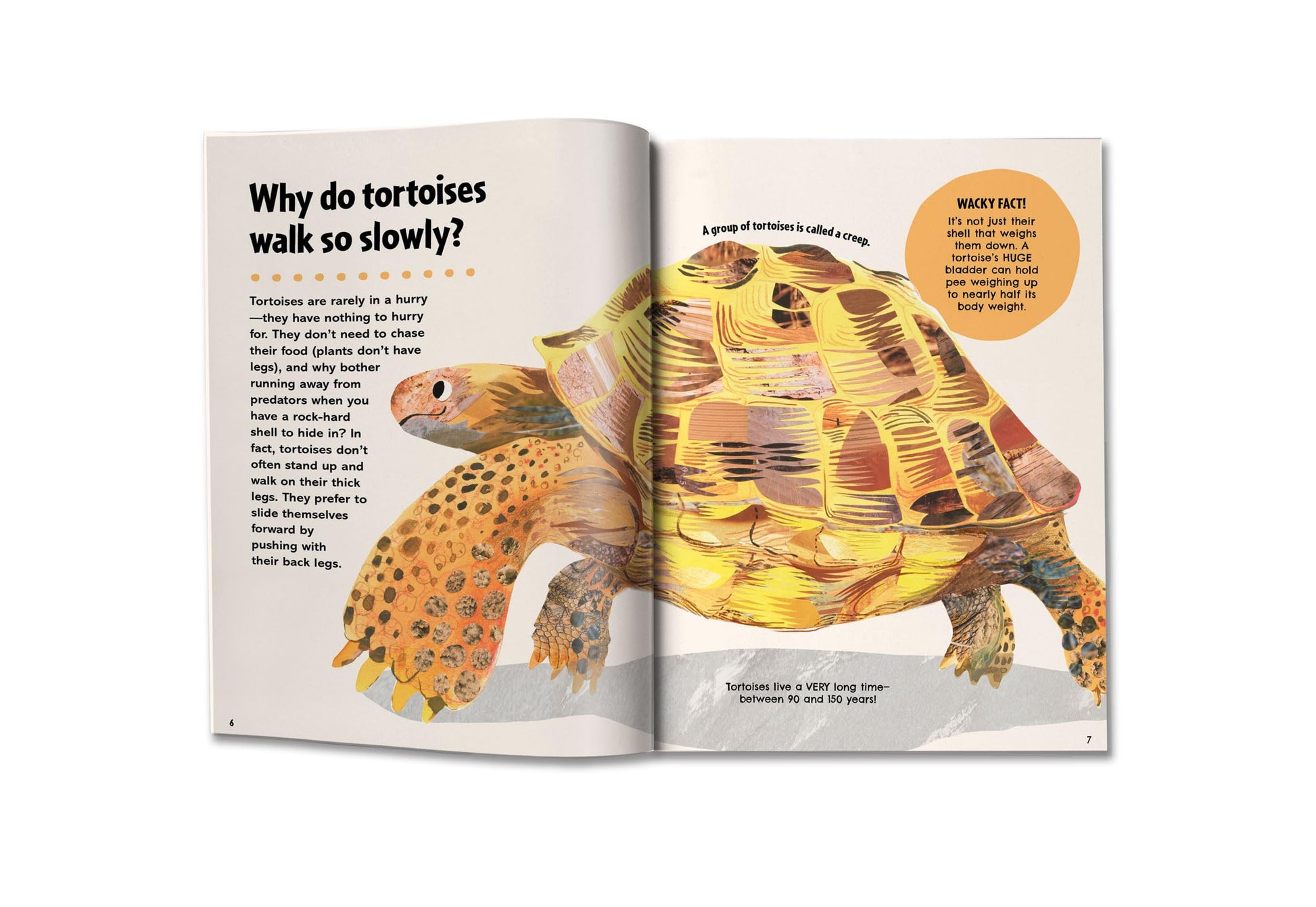 Britannica's First Big Book of Why: Why can't penguins fly? Why do we brush our teeth? Why does popcorn pop? The ultimate book of answers for kids who need to know WHY!