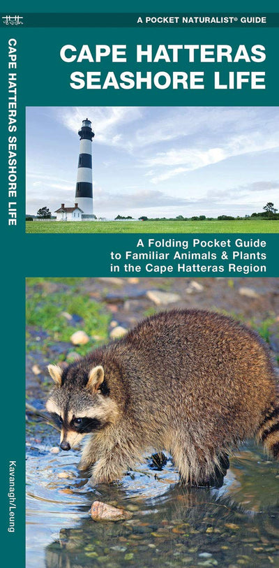 Cape Hatteras Seashore Life: A Folding Pocket Guide to Familiar Plants & Animals in the Cape Hatteras Region (Pocket Naturalist Guide)
