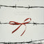 Four Perfect Pebbles: A True Story of the Holocaust