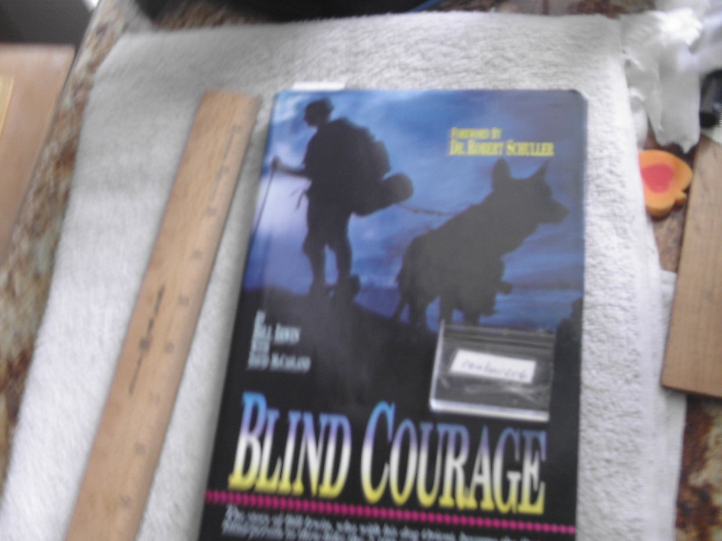 Blind Courage