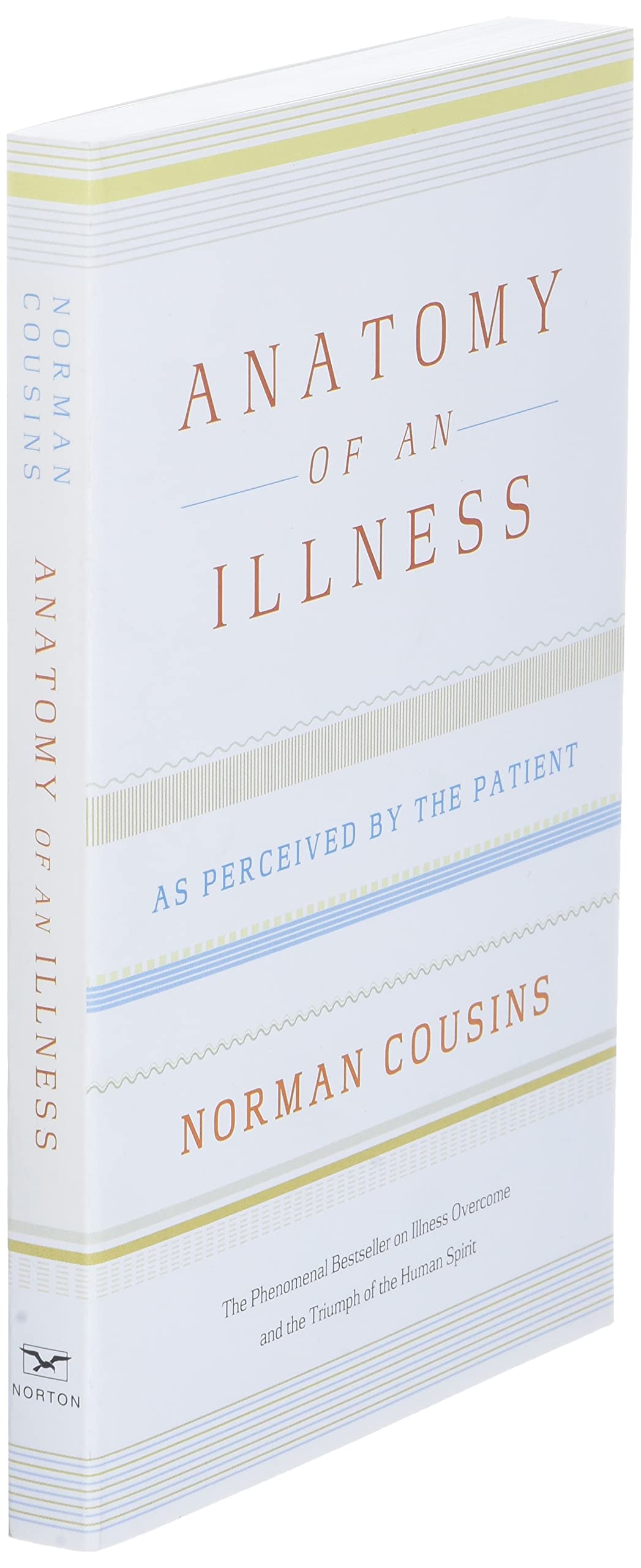 Anatomy of an Illness: As Perceived by the Patient