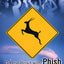 Run Like an Antelope: On the Road with Phish