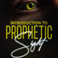 Introduction to Prophetic Sight: A Beginners Guide to Developing Prophetic Insight, Learning to See with Clarity, Accuracy, and Divine Purpose (Becoming A Prophetic Seer)
