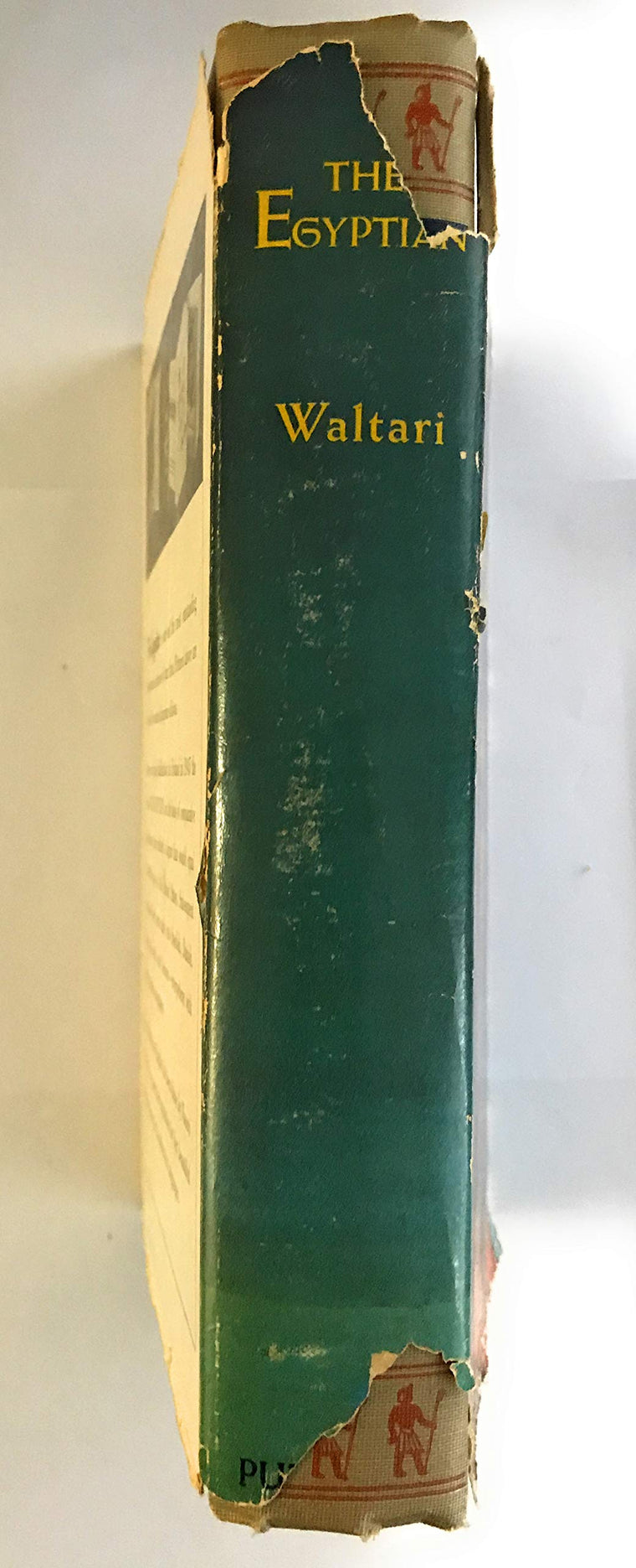 The Egyptian — back cover