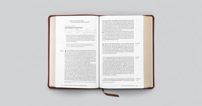 ESV Chronological Bible (TruTone, Brown): Holy Bible, English Standard Version