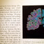Mapping the Mind